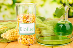 Perceton biofuel availability