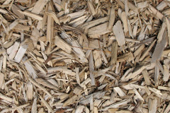 biomass boilers Perceton