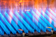 Perceton gas fired boilers